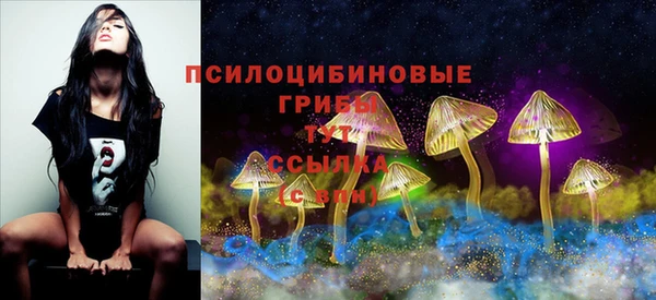 скорость Магас