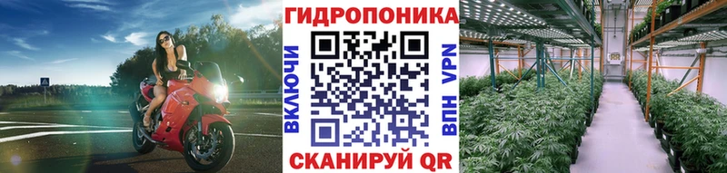 Бошки марихуана THC 21%  Лермонтов 